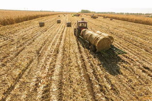 国家秸秆产业联盟 推动农业循环经济，创新农作物秸秆纤维提取技术